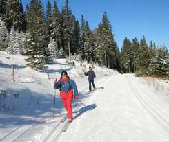  Penzion &Scaron;umav&aacute;ček