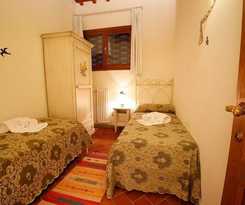  Gatto Bianco Tizzauli