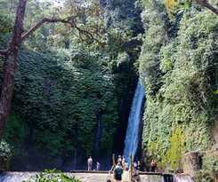 Hotel Bedugul Camping