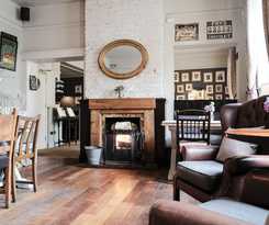 The Swan