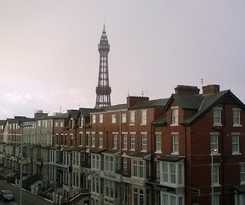 The Albert Near Winter Gardens