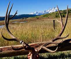 Buffalo Valley Ranch