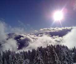 Hotel Albergo Garnì La Soldanella
