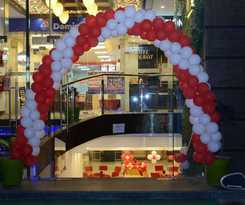Royal MJS Pinjore