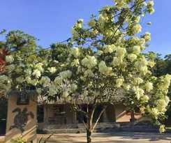 Hotel Urbano\'s Pacific Jungle Hostel