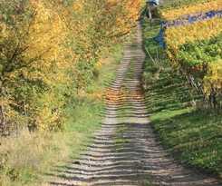Ännchen Garni