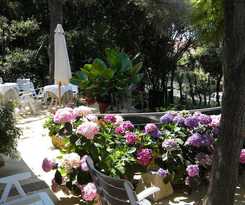 La Rosa del Tirreno
