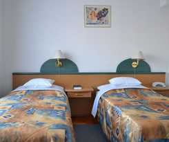 Hotel Leier Business