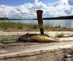 Hotel Hotell Vindelngallerian