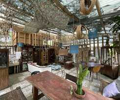 Hotel Half Moon Village and Beach House powered by Cocotel