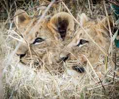 Hotel Vuyani River Lodge