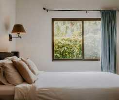 Hotel The Golden Frog Inn