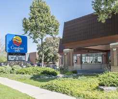 Comfort Inn Lundys Lane