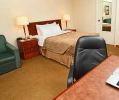 Hotel Quality Downtown