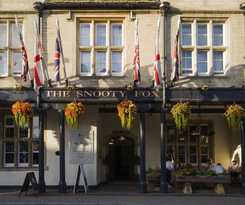 The Snooty Fox