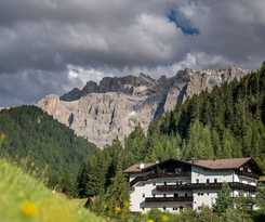 Monte44