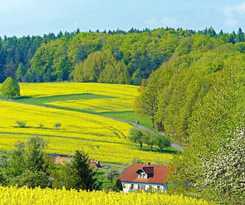 Landgasthof Grüner Baum