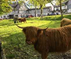 Hotel Landgasthof Gilsbach