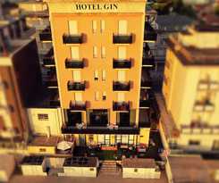 Gin Rimini