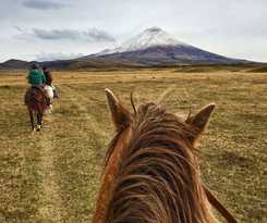Hotel Hacienda Los Morti&ntilde;os