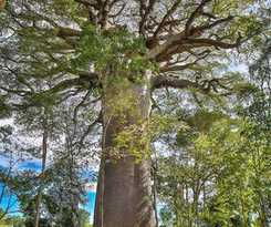 Hotel Relais Du Kirindy