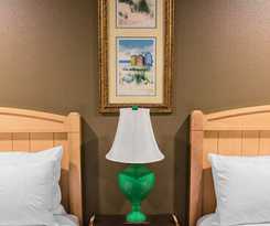 Hotel The Gator Den Motel