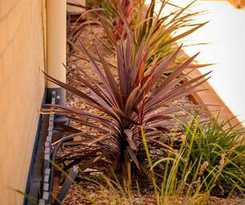 Hotel Pete\'s Place Roma