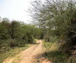 Hotel FHR Wilderness Lodge Chandigarh by TUTC