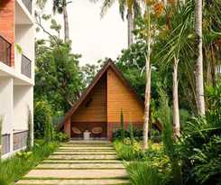 Pinar Dorado by Gran Jimenoa