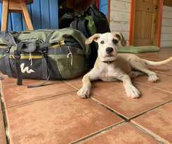 Hotel Spanish by the Sea - Bocas - Hostel