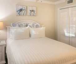 Dolphin Cove - Adults Only