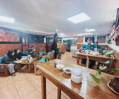 Lobo Hostel La Paz