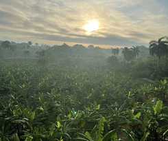 Complejo Ecoturistico Rancho Cielo