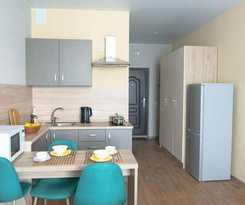DZirconia Elagin Island Apartments