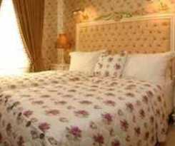 The Boutique Amisos