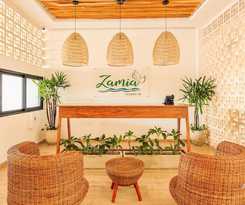 Zamia Boutique