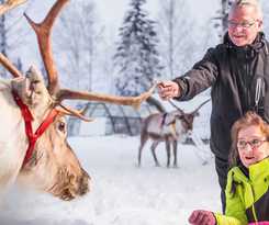 Hotel Lapland Northern Lights Ilveslinna