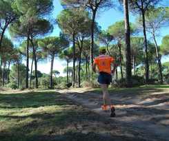 Hotel Glamping Sevilla