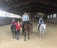  Pension and Reitschule Fuchsenhof