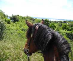  Castello di Santa Cristina