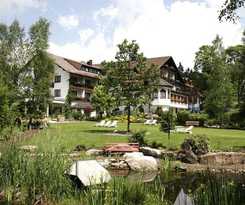 Waldblick