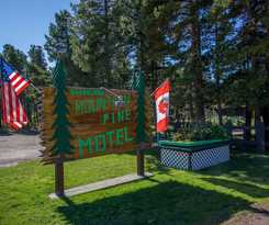 Hotel Mountain Pine Motel
