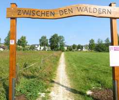 Steuer