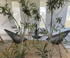 Hotel Ninemia Suites and Open air Spa