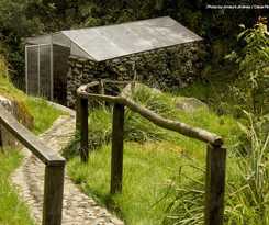Termales San Vicente