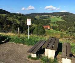 Schwarzwaldgasthaus Linde