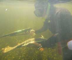 Hotel Fisherman\'s Island