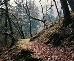  Acron Traben-Trarbach