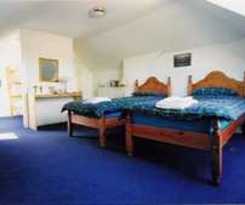 Hotel THE WIDE MOUTHED FROG