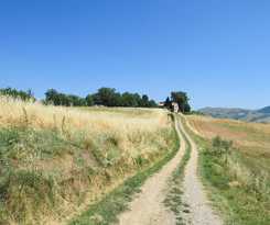  Casale Donatelli in Radicofani